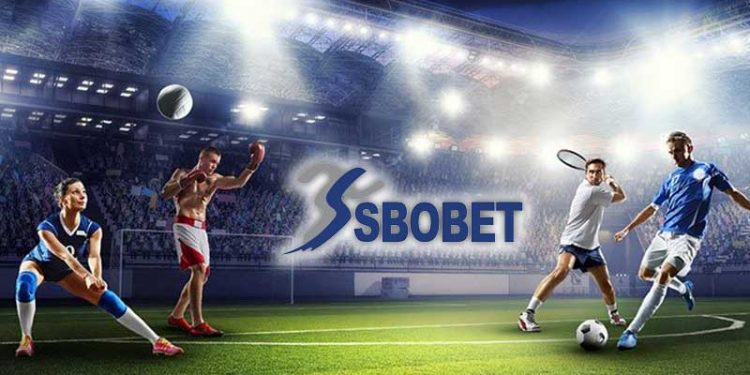 Cara Menggunakan Aplikasi Judi Bola dengan Aman dan Efektif